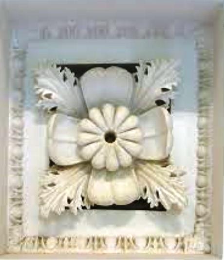 Asklepieion-papavero