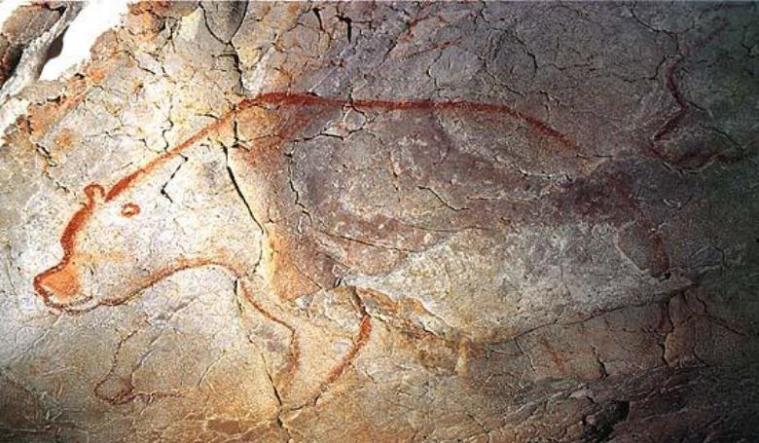Figura di ursus spaeleus raffigurato su una parete della Grotta Chauvet (www.atavolacongioia.it)