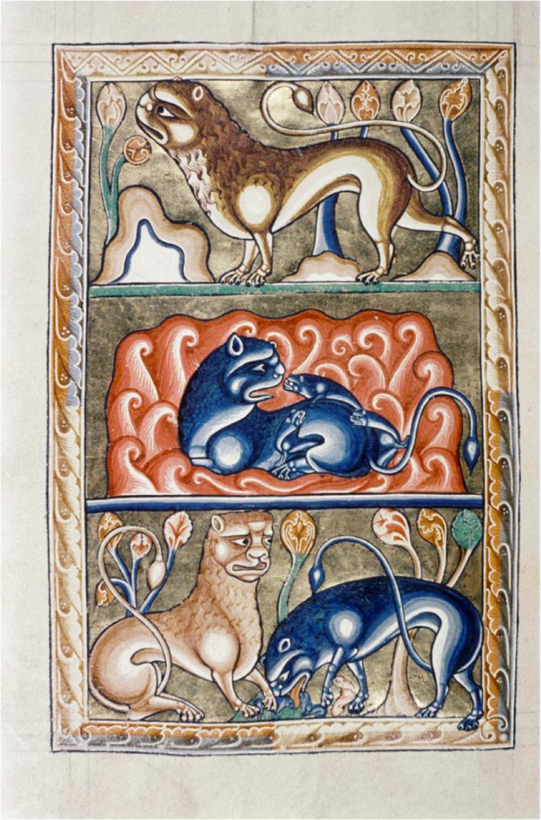 Il leone e l'orso (quest'ultimo in blu). Miniatura dal “Bestiario di Ashmole”, Gran Bretagna, XIII sec. – Oxford, Bodileian Library.