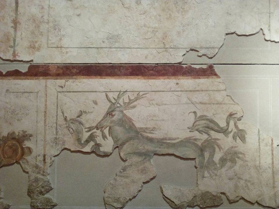 17308857_725951090911357_5350652336933720390_n