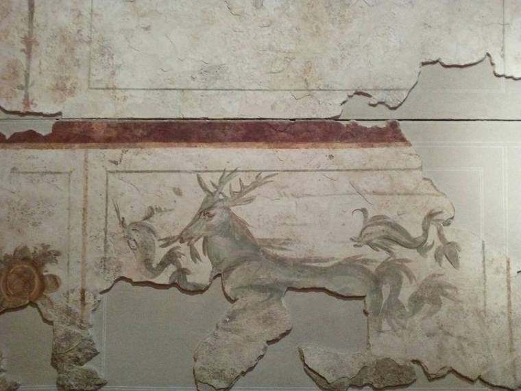 17308857_725951090911357_5350652336933720390_n