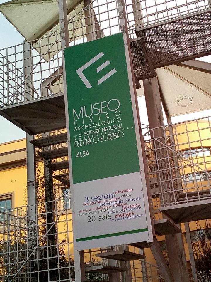 17457948_725951110911355_7554369212875581204_n