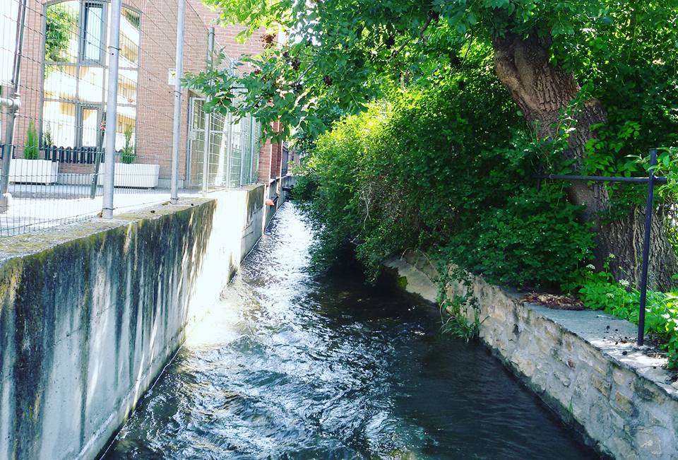 18664641_757648361074963_5791273746725250897_n