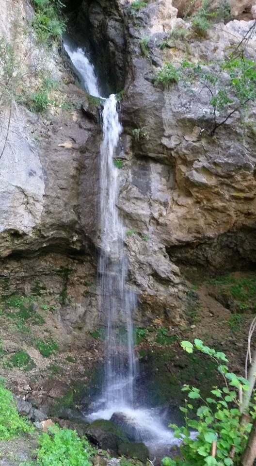 21151555_808801065959692_2707401642697911286_n