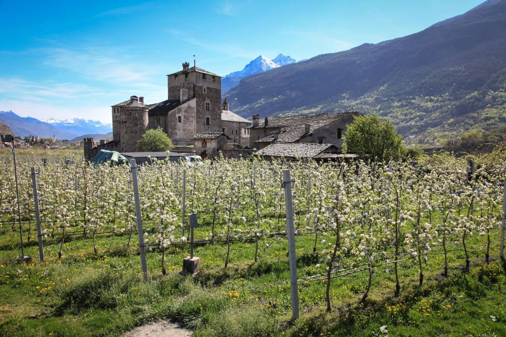 valle-daosta-sarriod-de-la-tour-foto-enrico-romanzi-1889_gg