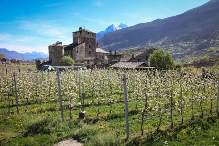 valle-daosta-sarriod-de-la-tour-foto-enrico-romanzi-1889_gg