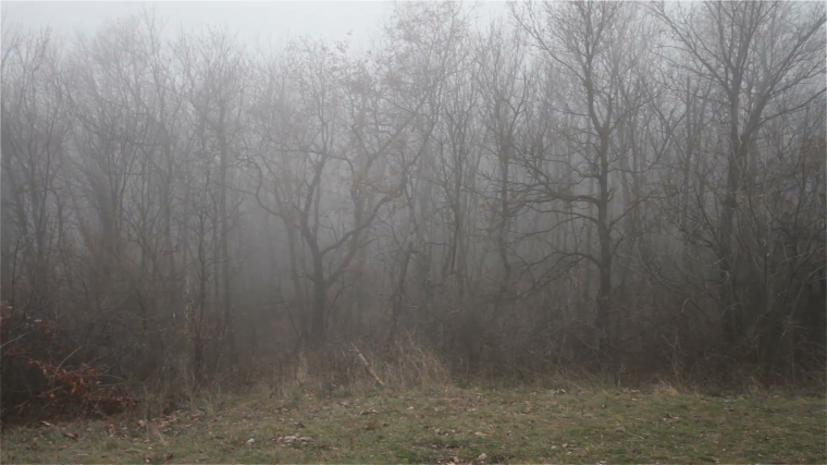 scary-hill-foggy-forest-in-winter_ho1vlx8v__F0000