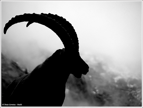 Foto: In punta di piedi...di Troise Carmine-Washi www.flickr.com/photos/troise/