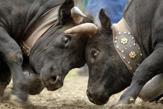 1697f2aa76fa6cb90c240228e8fc5ebc